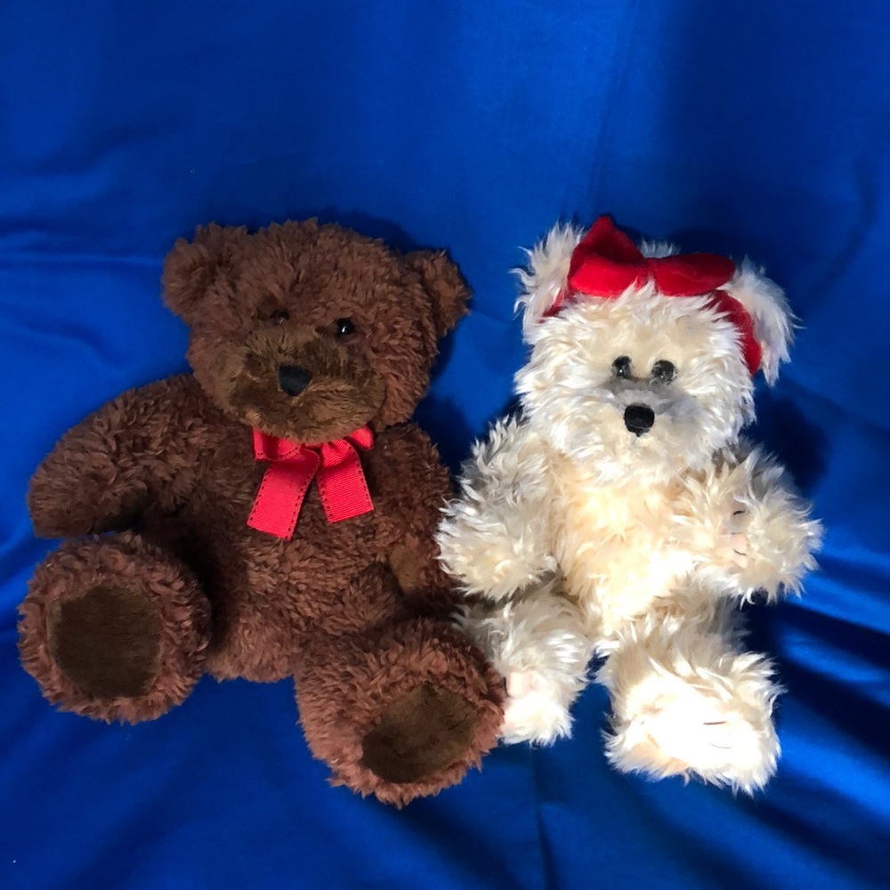 Mr. & Mrs. Teddy